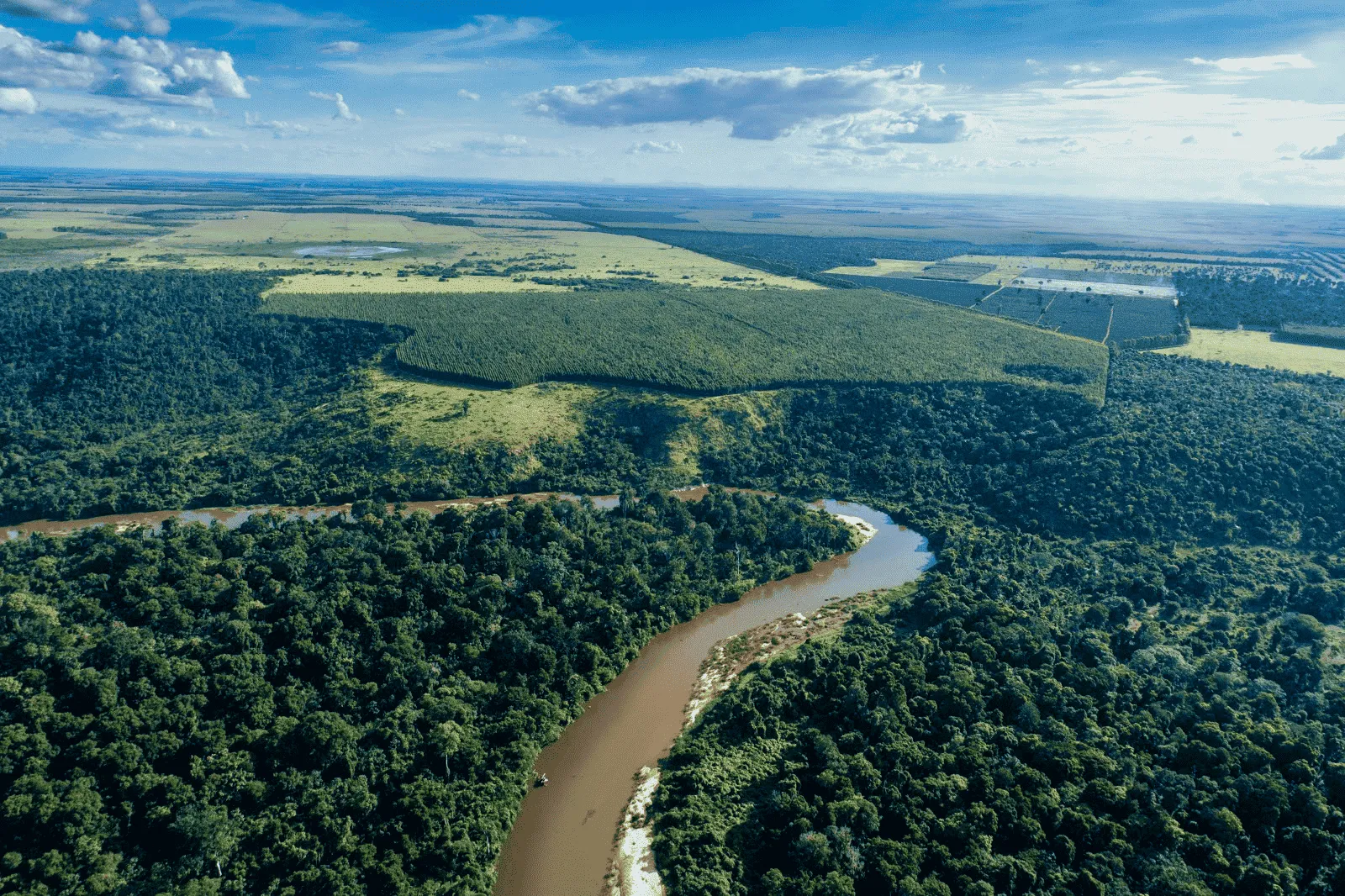 Suzano utiliza gravadores de som e DNA ambiental em iniciativa pioneira de monitoramento da biodiversidade em MS
