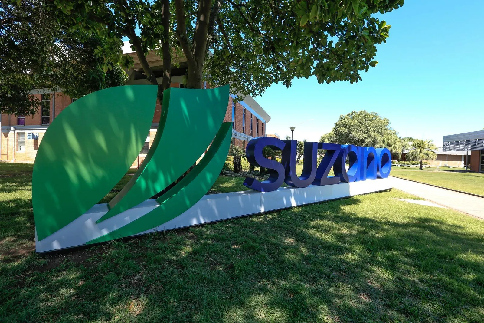 Suzano abre inscrições para Programa de Estágio Superior 2026