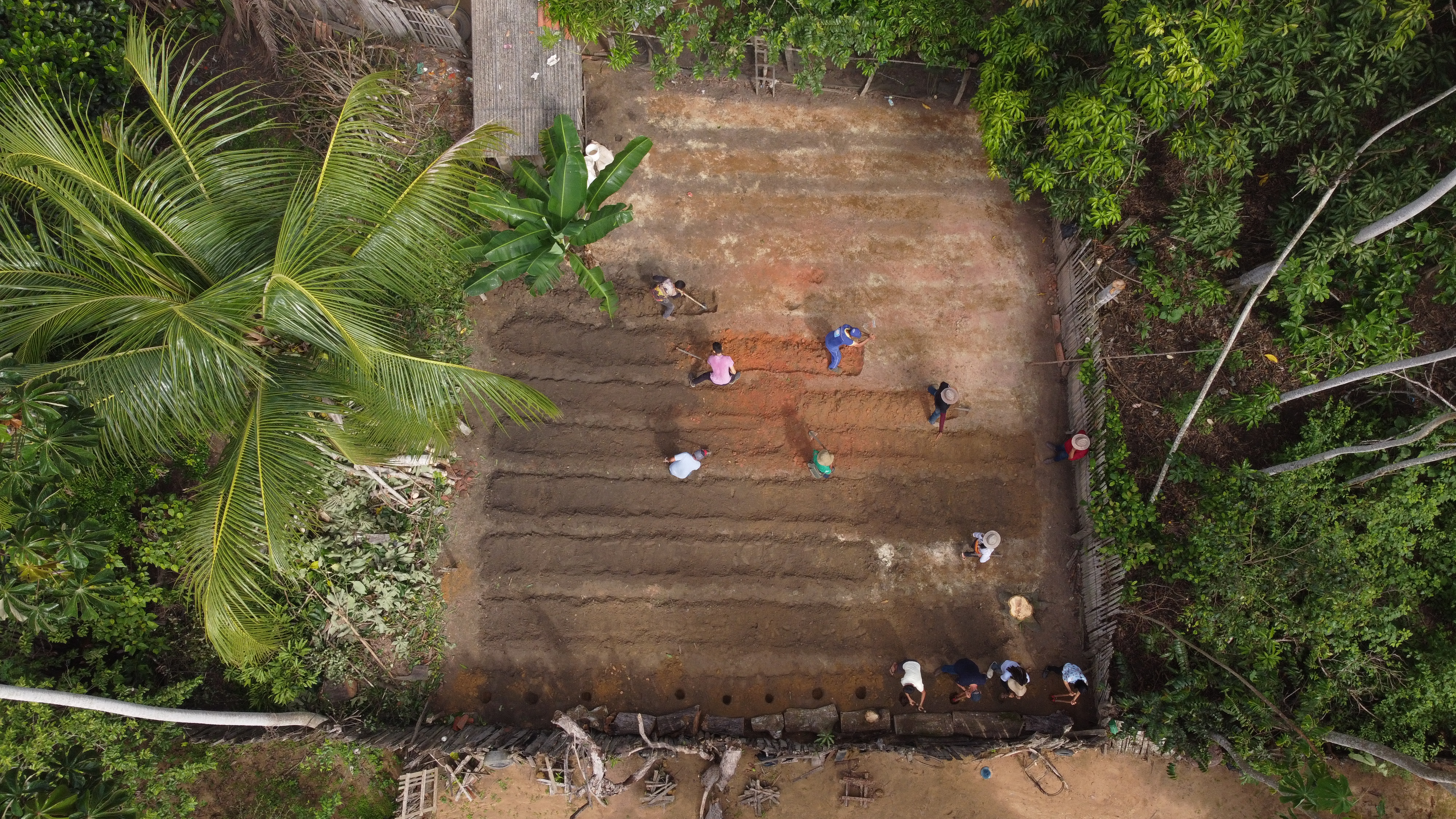 Projeto Corredor de Biodiversidade da Amazônia implanta 150 quintais florestais em comunidades do Maranhão e Pará