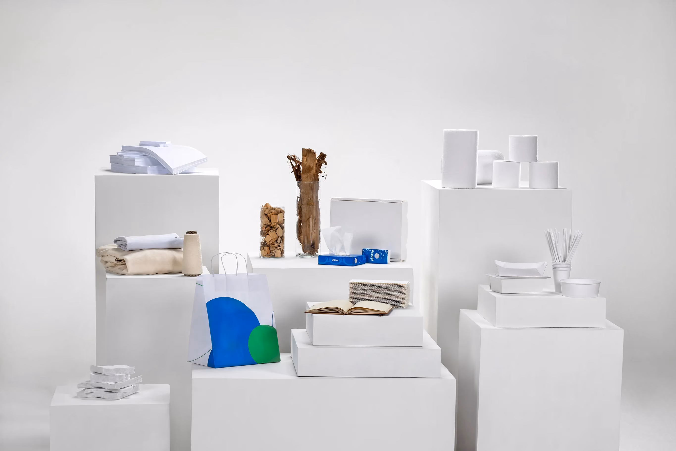 A foto mostra diversos produtos feitos com base na celulose, como livros, papel higiênico e até roupas.