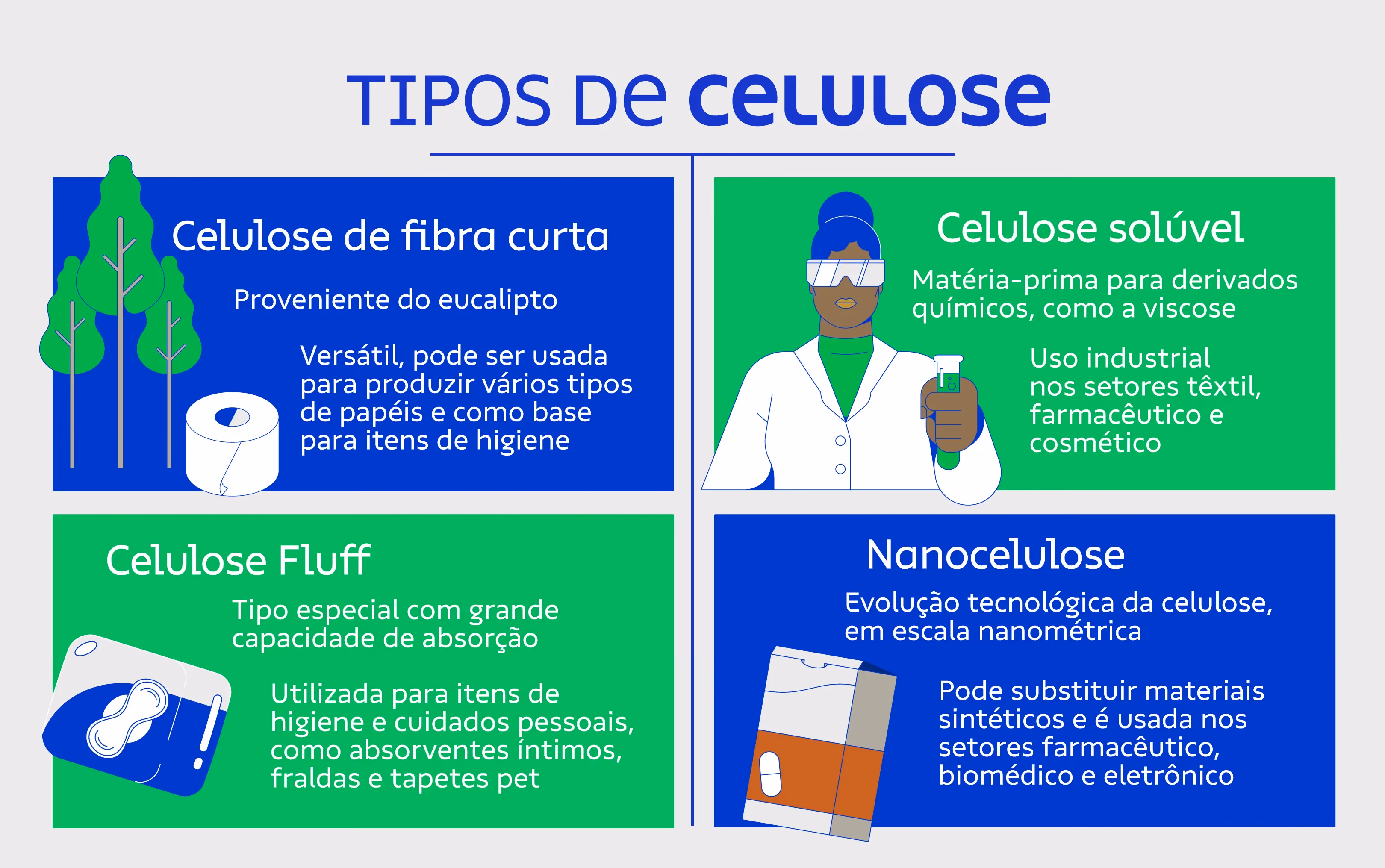 Imagem mostra quais são os tipos de celulose existentes 