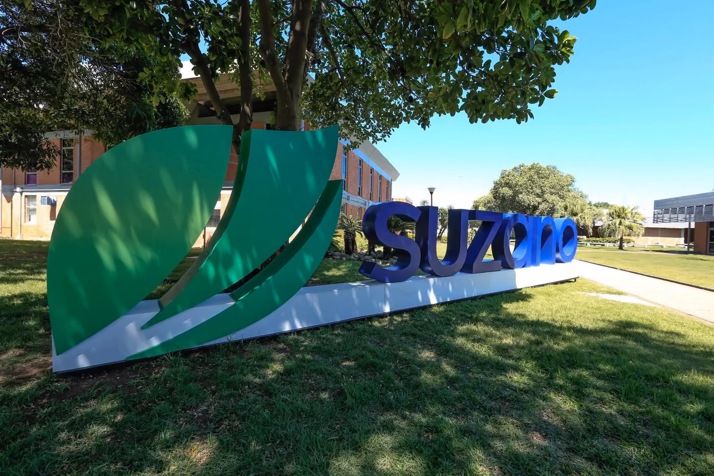 Suzano amplia rede de fornecedores para operações florestais no Espírito Santo