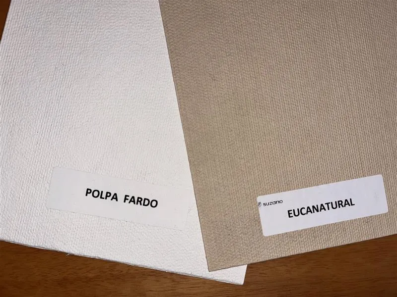 Suzano desenvolve o Eucanatural, celulose marrom de eucalipto para embalagens sustentáveis