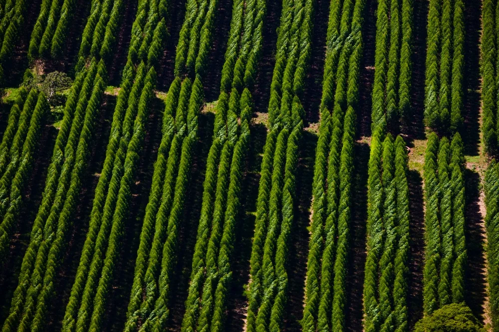 abre sete processos seletivos para Mato Grosso do Sul
