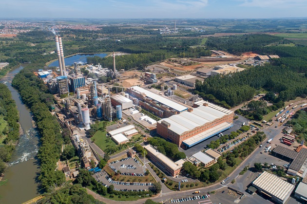 Suzano Pulp & Paper shareholders approve corporate reorganization with Fibria