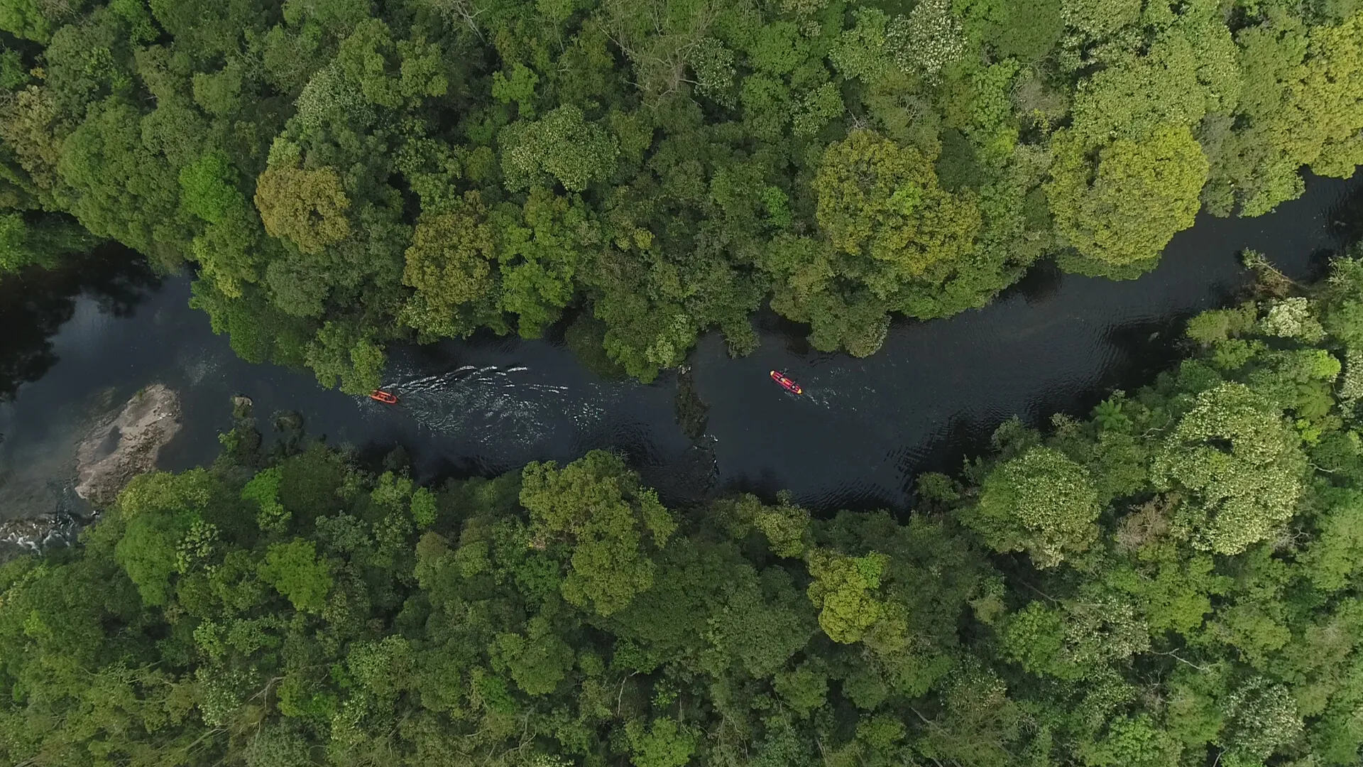 ڰ forms partnership with Tencent and Ecofuturo Institute at COP30 for AI-powered conservation and nature education