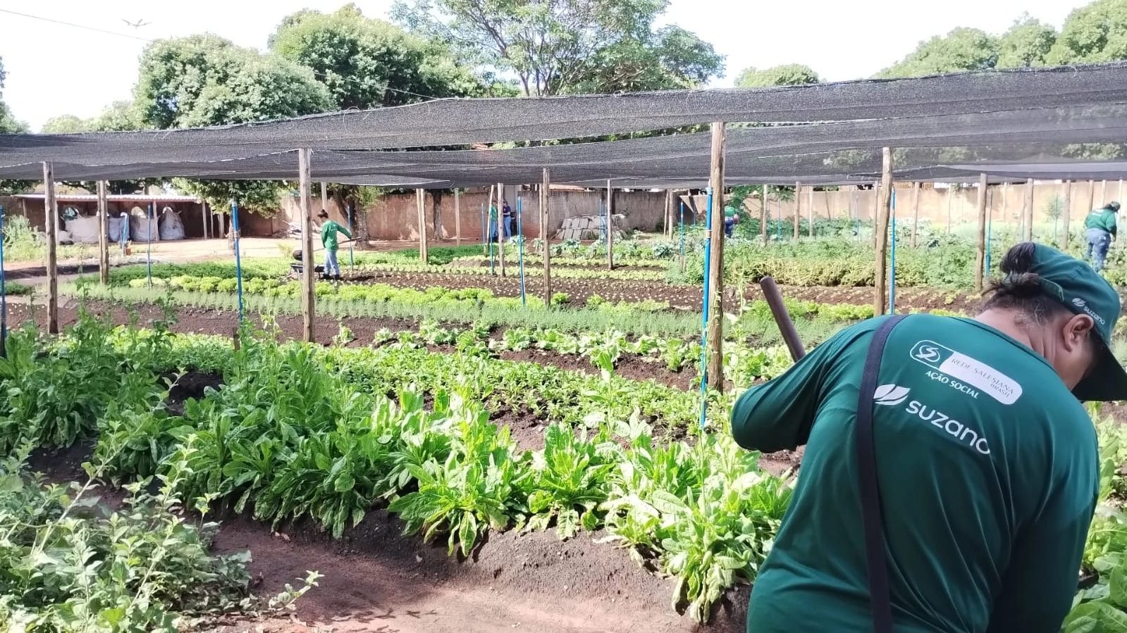With support from Suzano, Urban Gardens Project empowers women in Três Lagoas