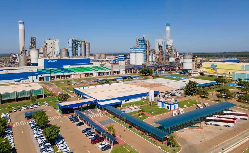 Suzano abre oito vagas de emprego para atender suas operações em Ribas do Rio Pardo e Três Lagoas (MS)