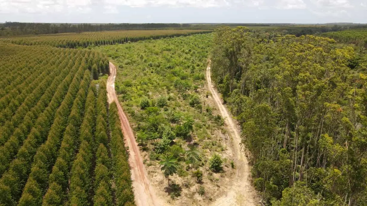 �������� alcança 43% de meta de conservação da biodiversidade por meio de corredores ecológicos