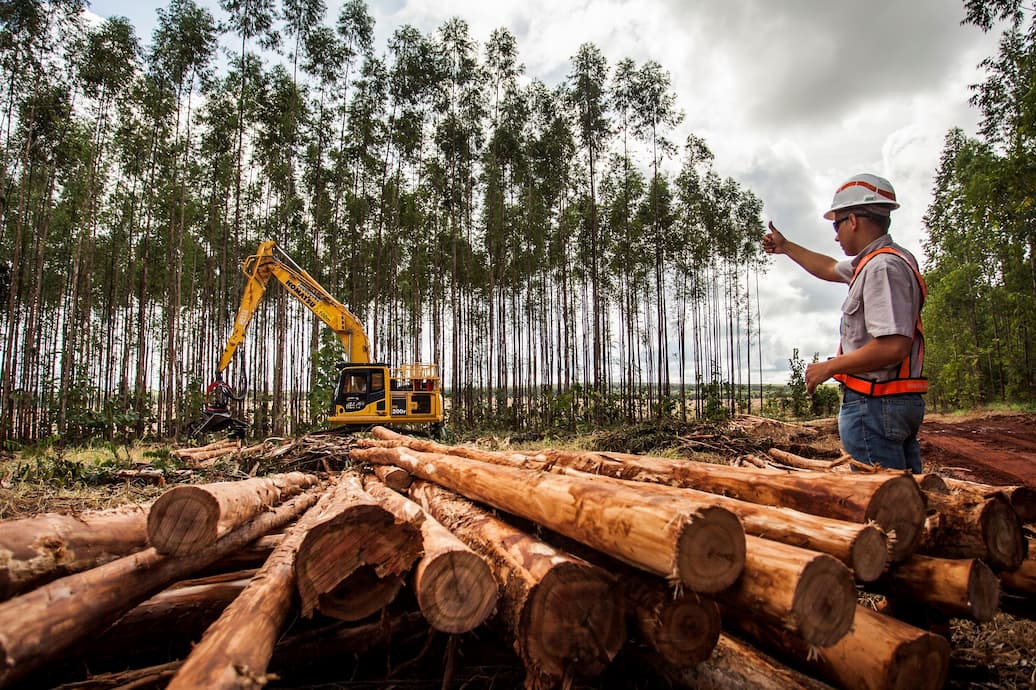 Máquinas de alta tecnologia impulsionam oportunidades para operadores e mecânicos florestais na Suzano