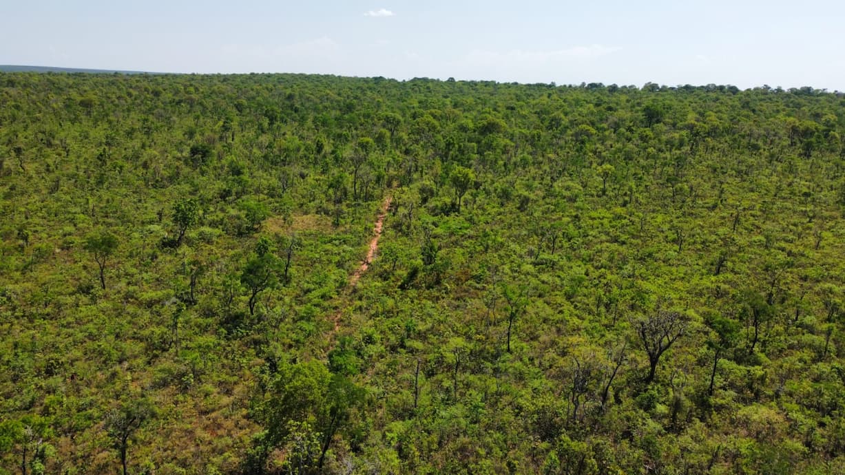 Área da Suzano em Ribas do Rio Pardo (MS) ganha nova reserva de proteção permanente ao Cerrado