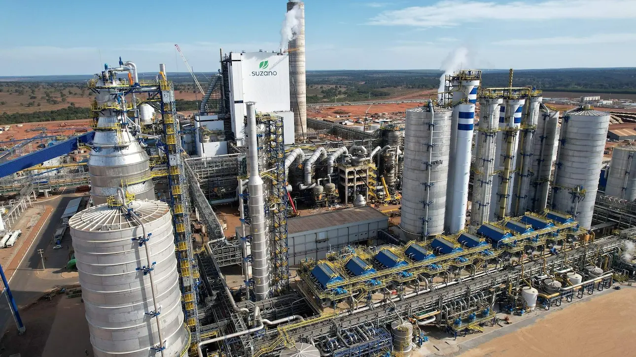 Suzano está com cinco processos seletivos abertos para Água Clara, Ribas do Rio Pardo e Três Lagoas (MS)