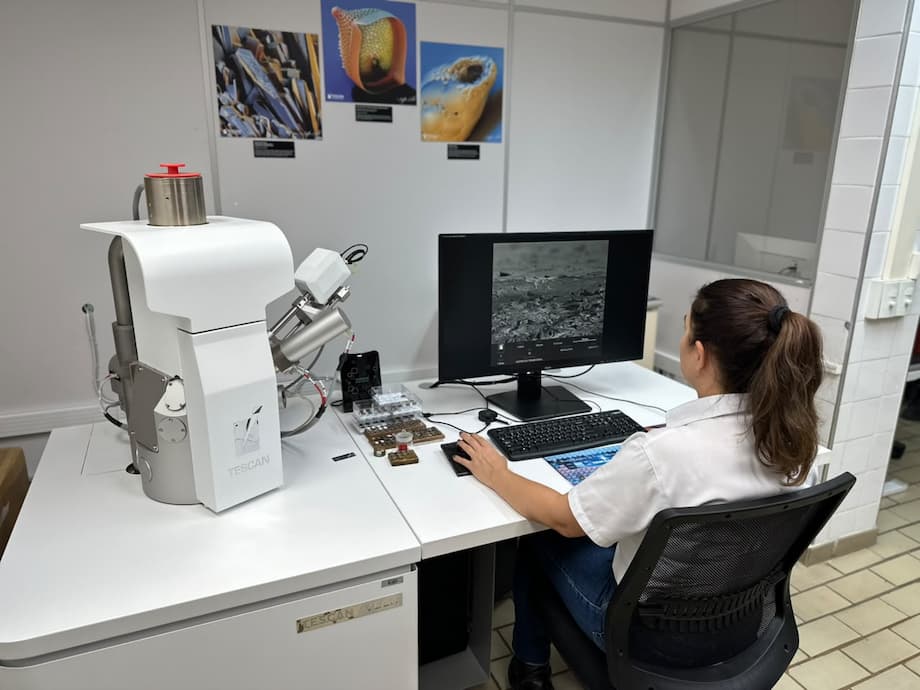 Centro de Tecnologia da Suzano em Aracruz amplia capacidade de pesquisa com novo Microscópio Eletrônico de Varredura (MEV)
