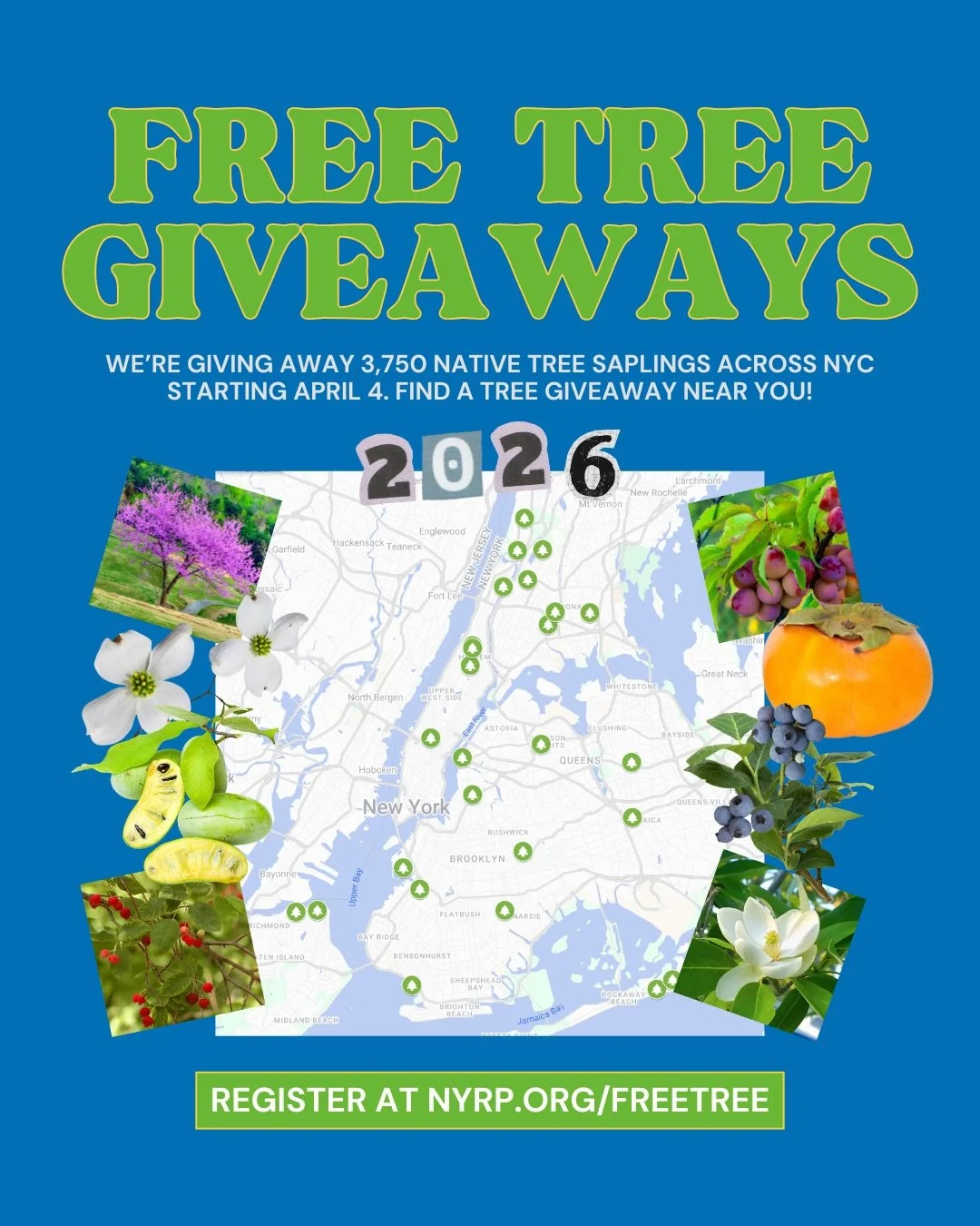 New York Restoration Project Free Tree Giveaway