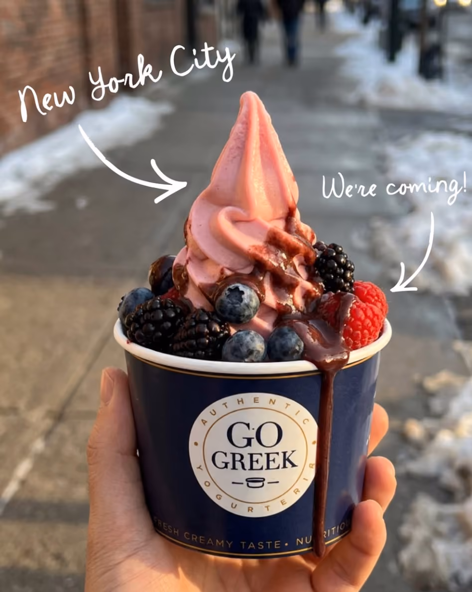 Go Greek Yogurt NYC Grand Opening