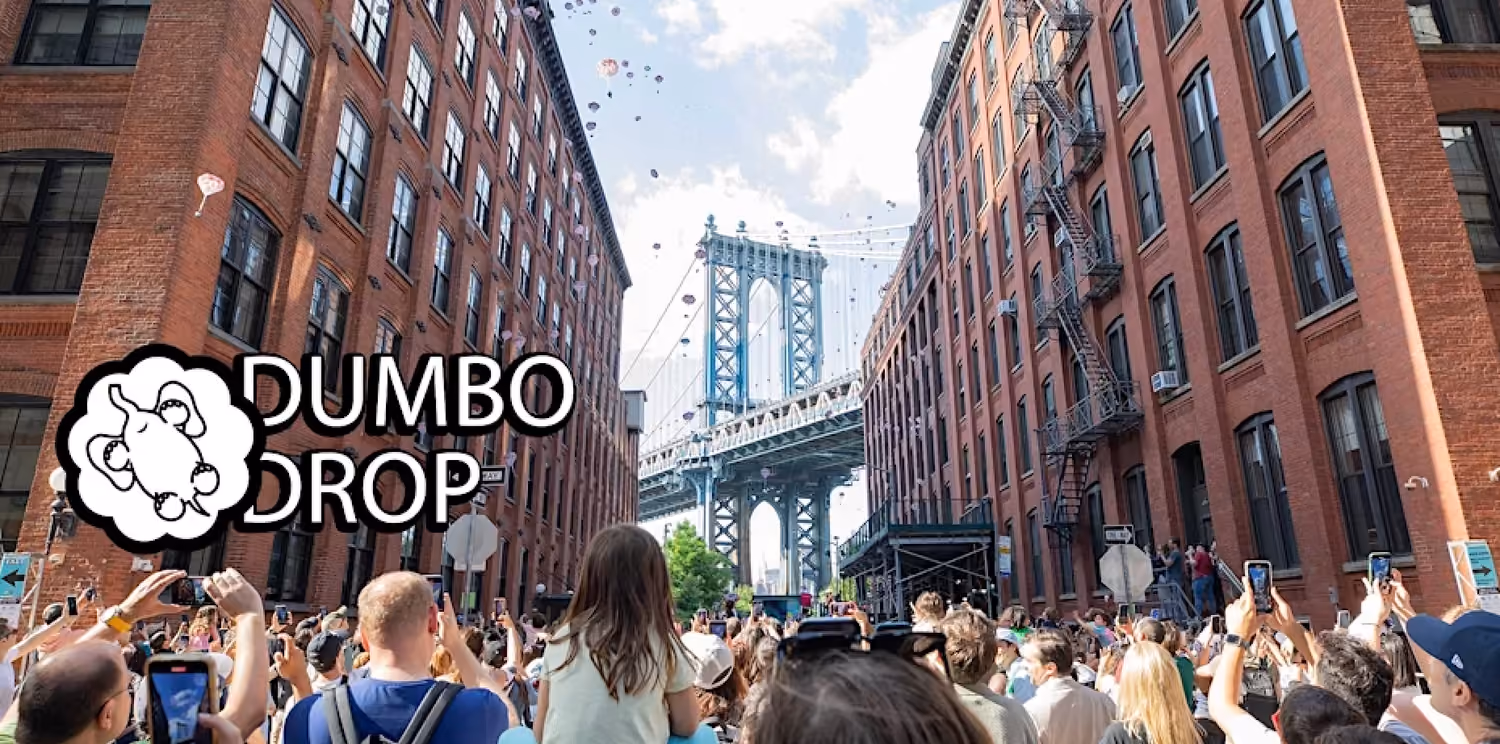 Dumbo Drop
