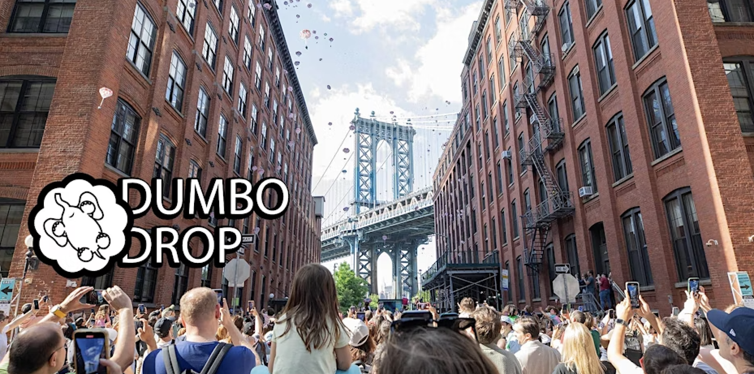 Dumbo Drop