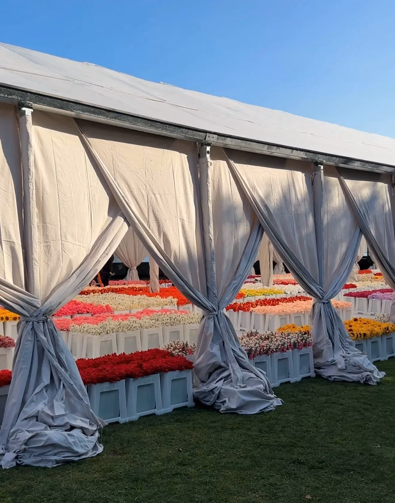 Flower Market 2.0 by CJ Hendry