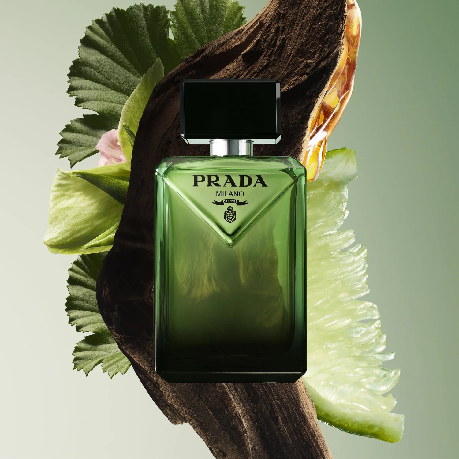 Prada Paradigme Pop-Up