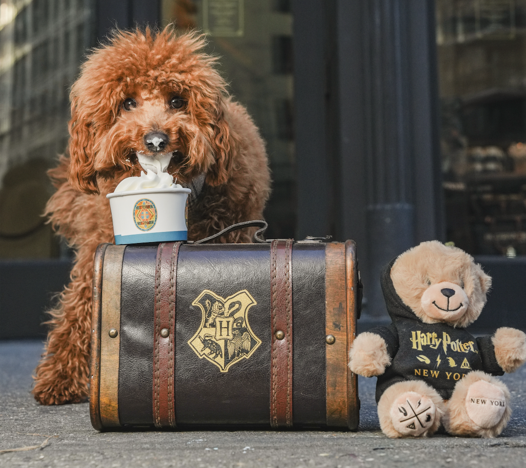 Harry Potter Shop New York National Pet Day