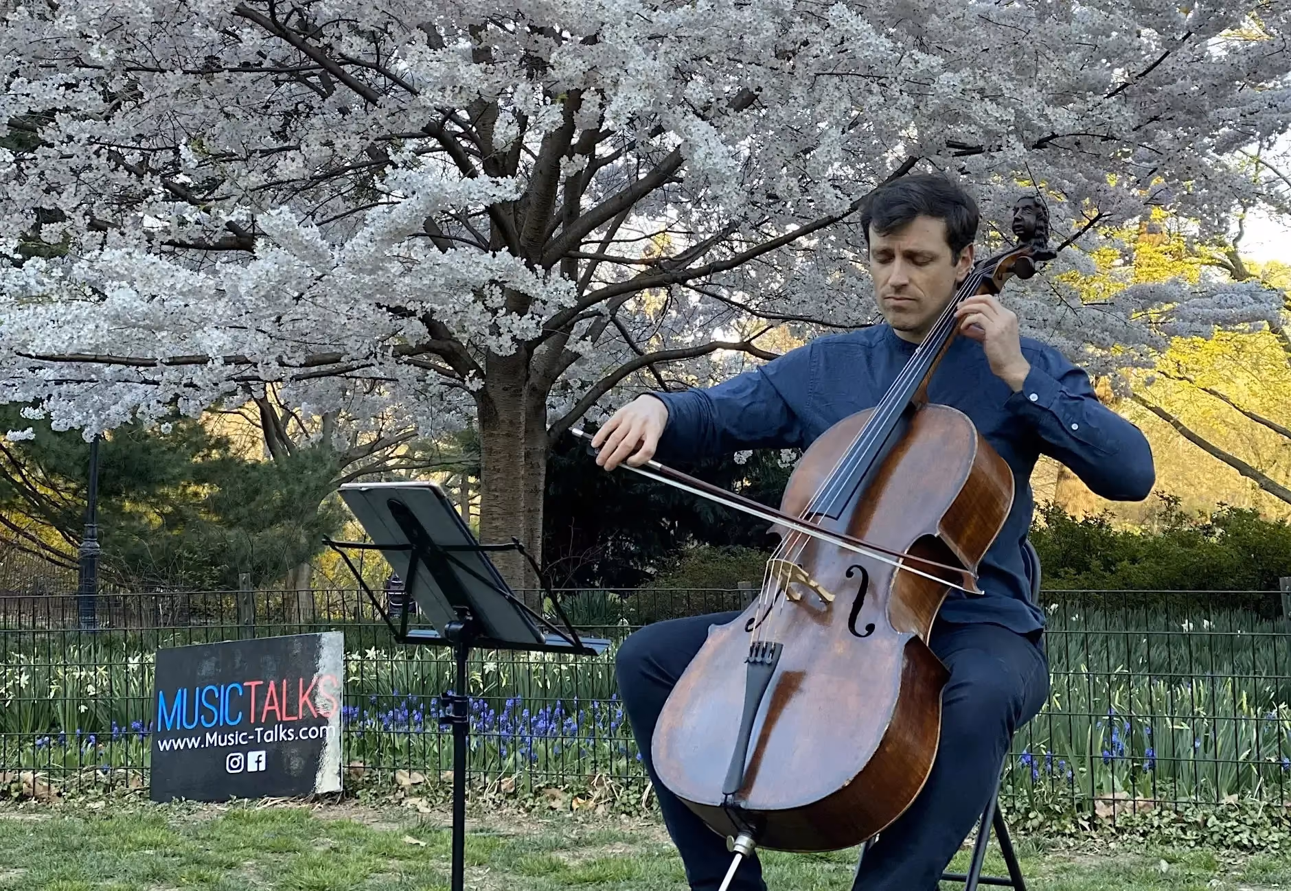 FREE Cello & Pastry: Picnic Concert