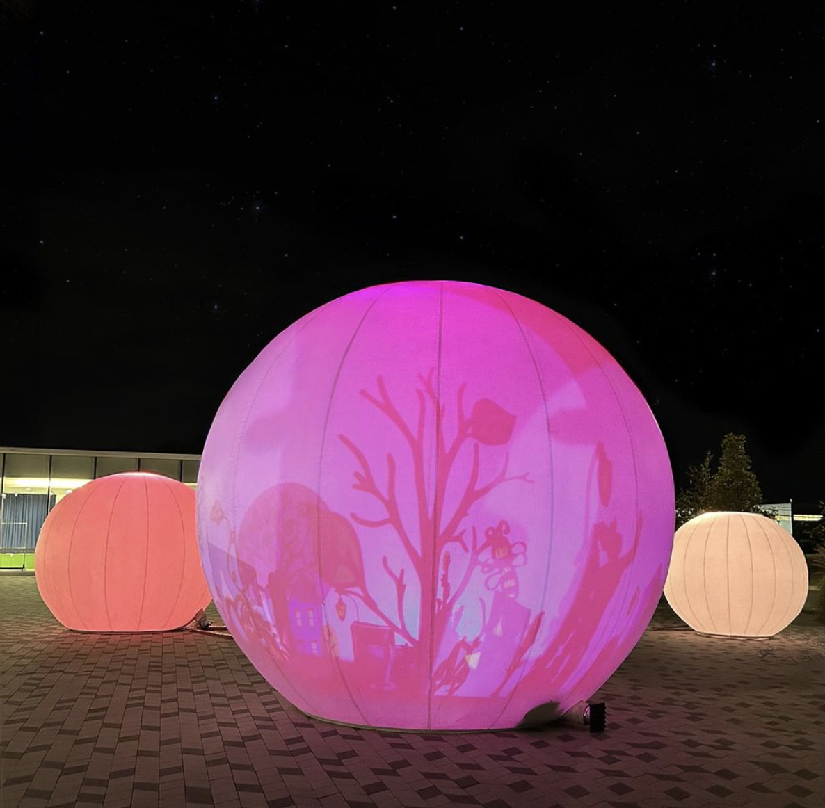 A moonGARDEN installation