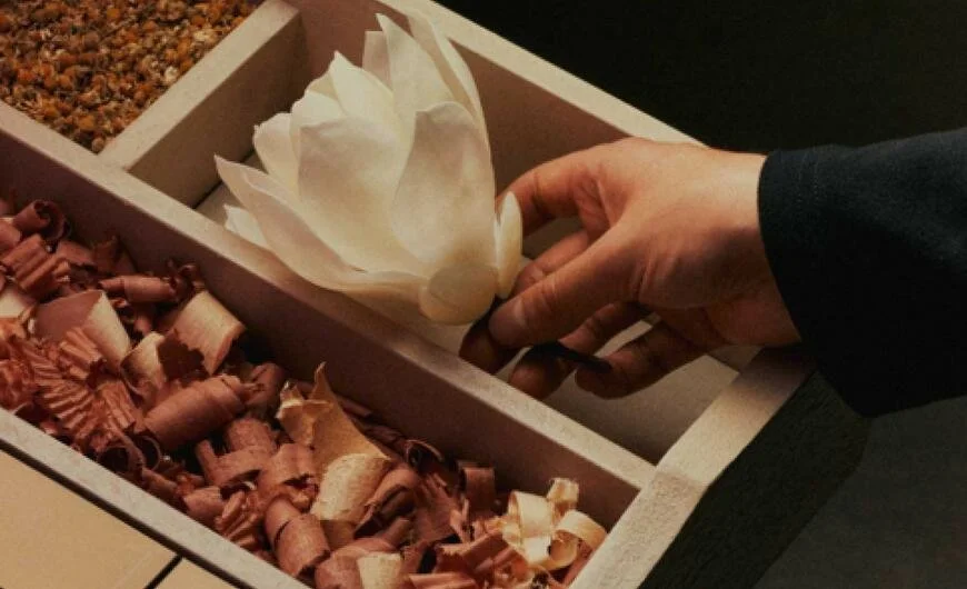 Aesop Fragrance Workshops