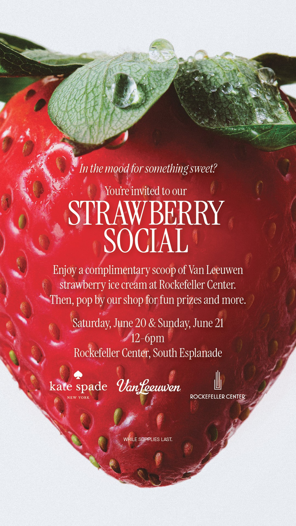 kate spade New York Strawberry Social
