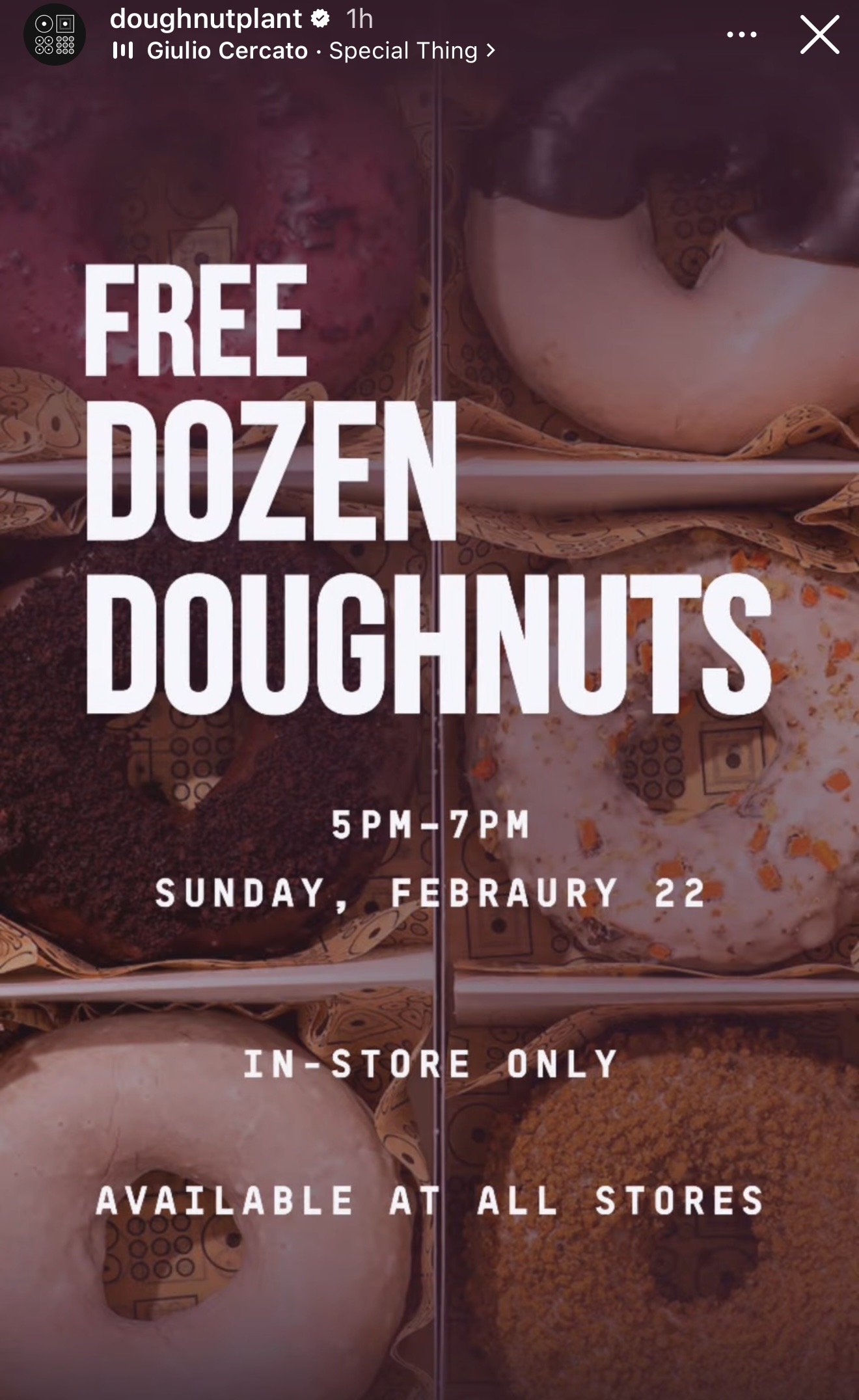 Doughnut Plant Free Dozen Doughnuts