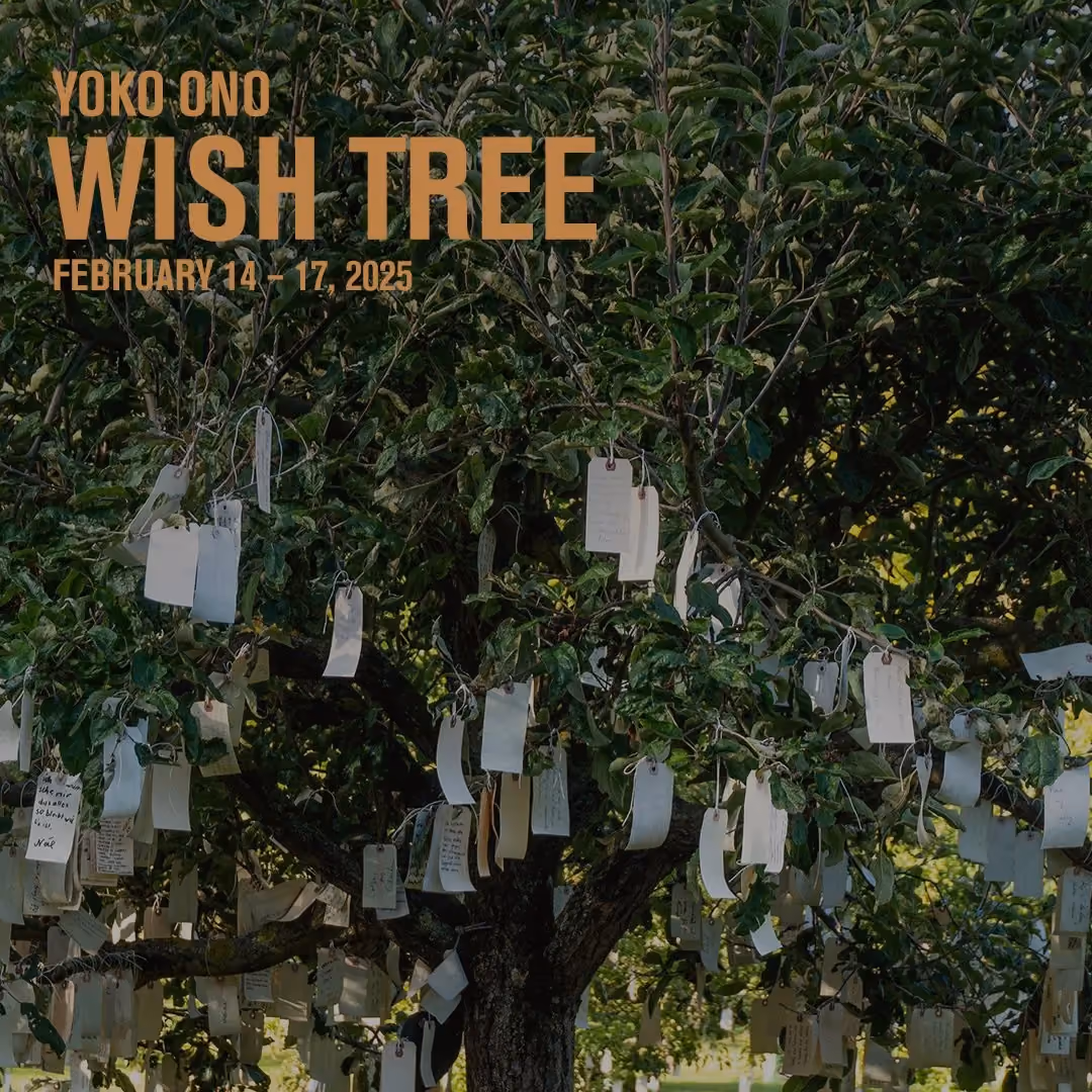 Yoko Ono Wish Tree