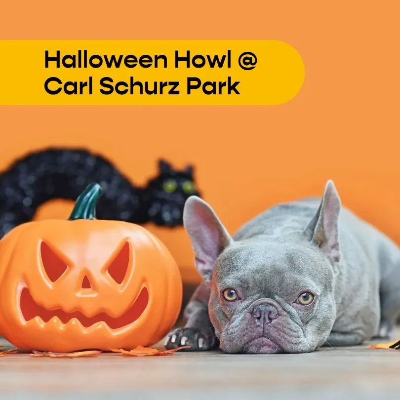 Halloween Howl & Healthy Hound Fair at Carl SCHURZ Park