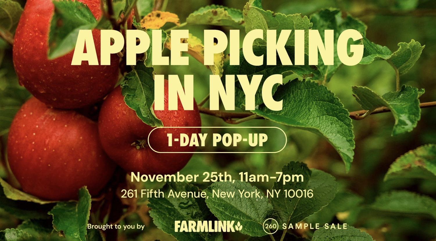 The Farmlink Project NYC Apple Orchard