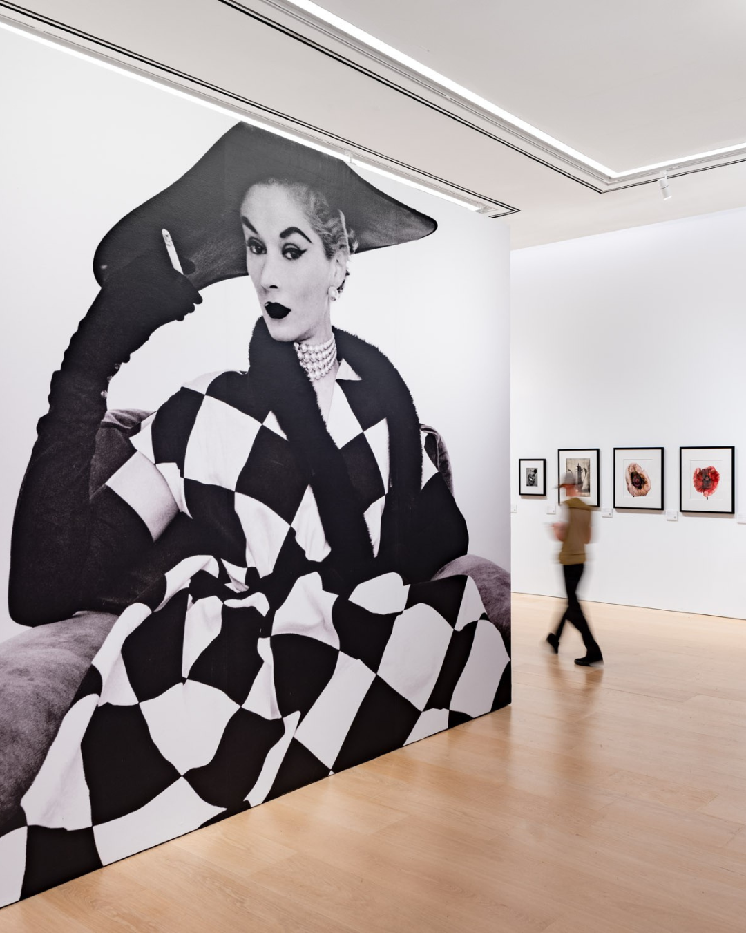 Phillips Visual Language: The Art of Irving Penn