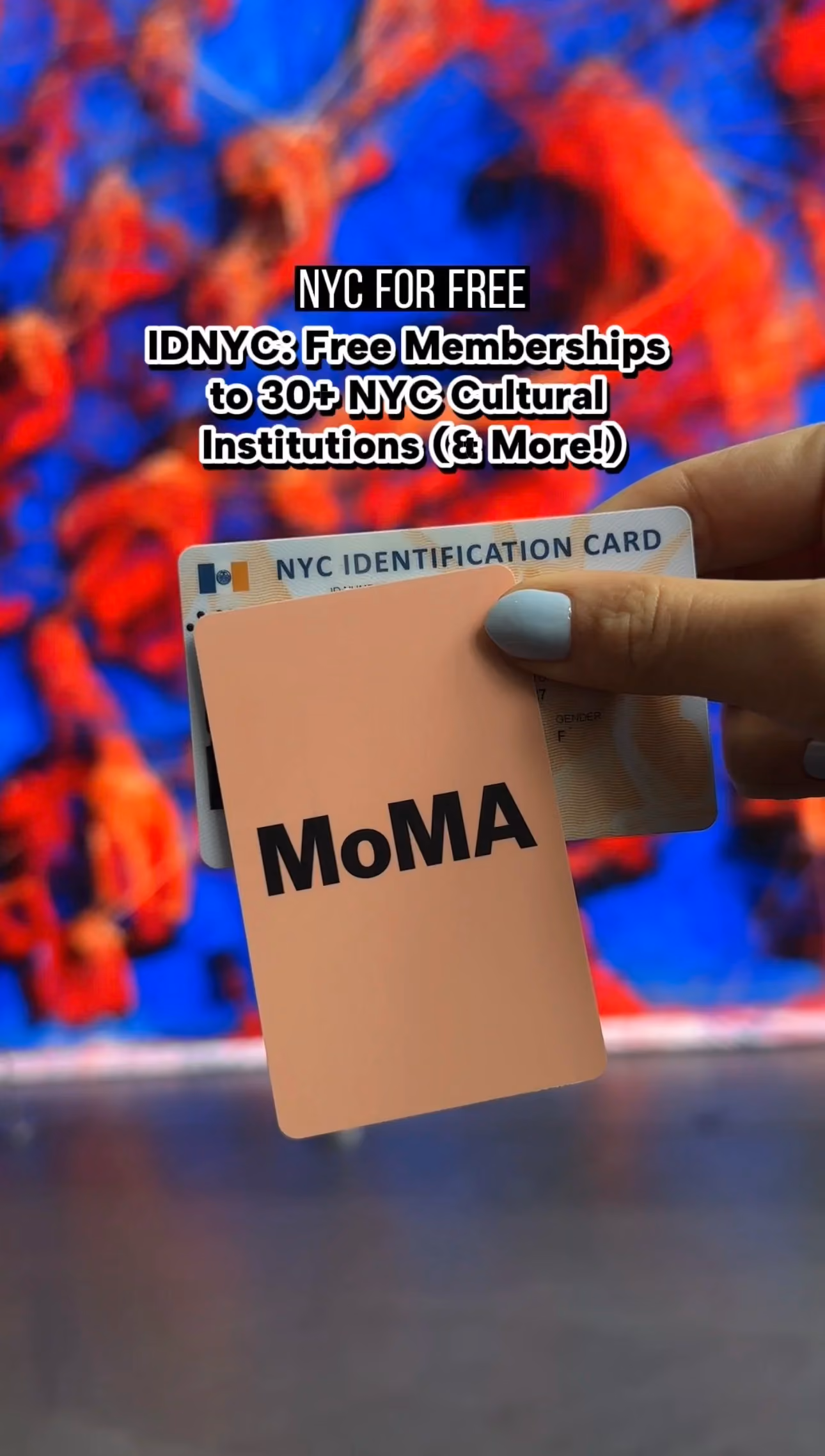 IDNYC: Free Memberships to 30+ NYC Cultural Institutions (& More!)