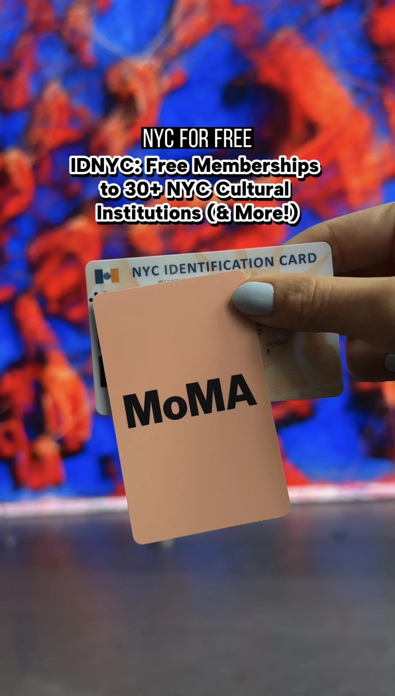 IDNYC: Free Memberships to 30+ NYC Cultural Institutions (& More!)