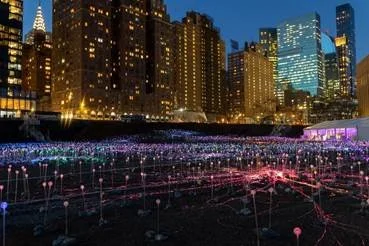Field of Light Valentine's Giveaway
