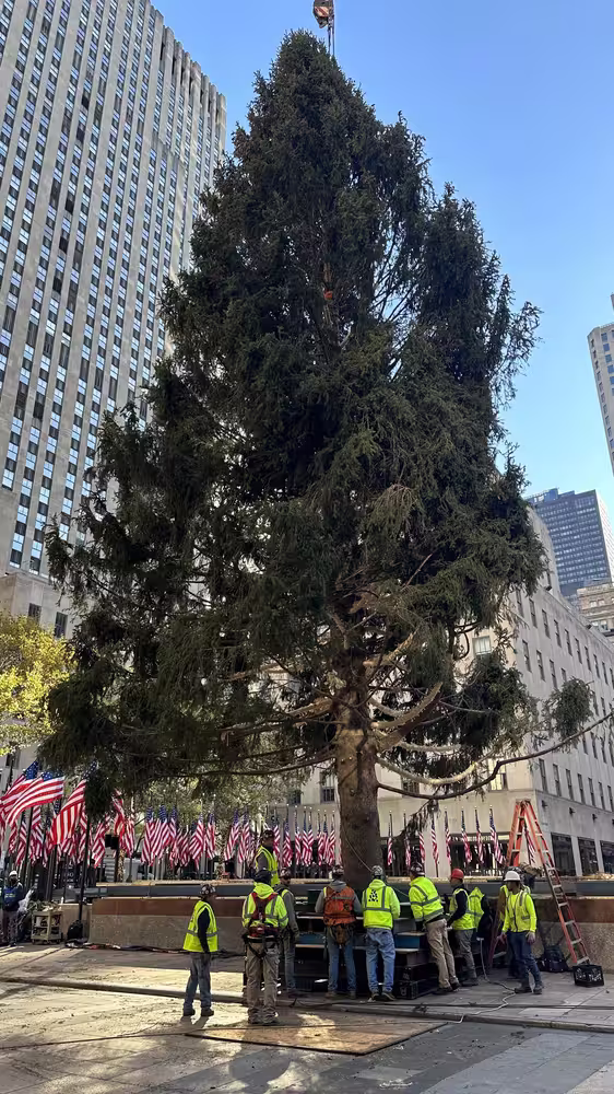 Rockefeller Center Meet the Tree Day