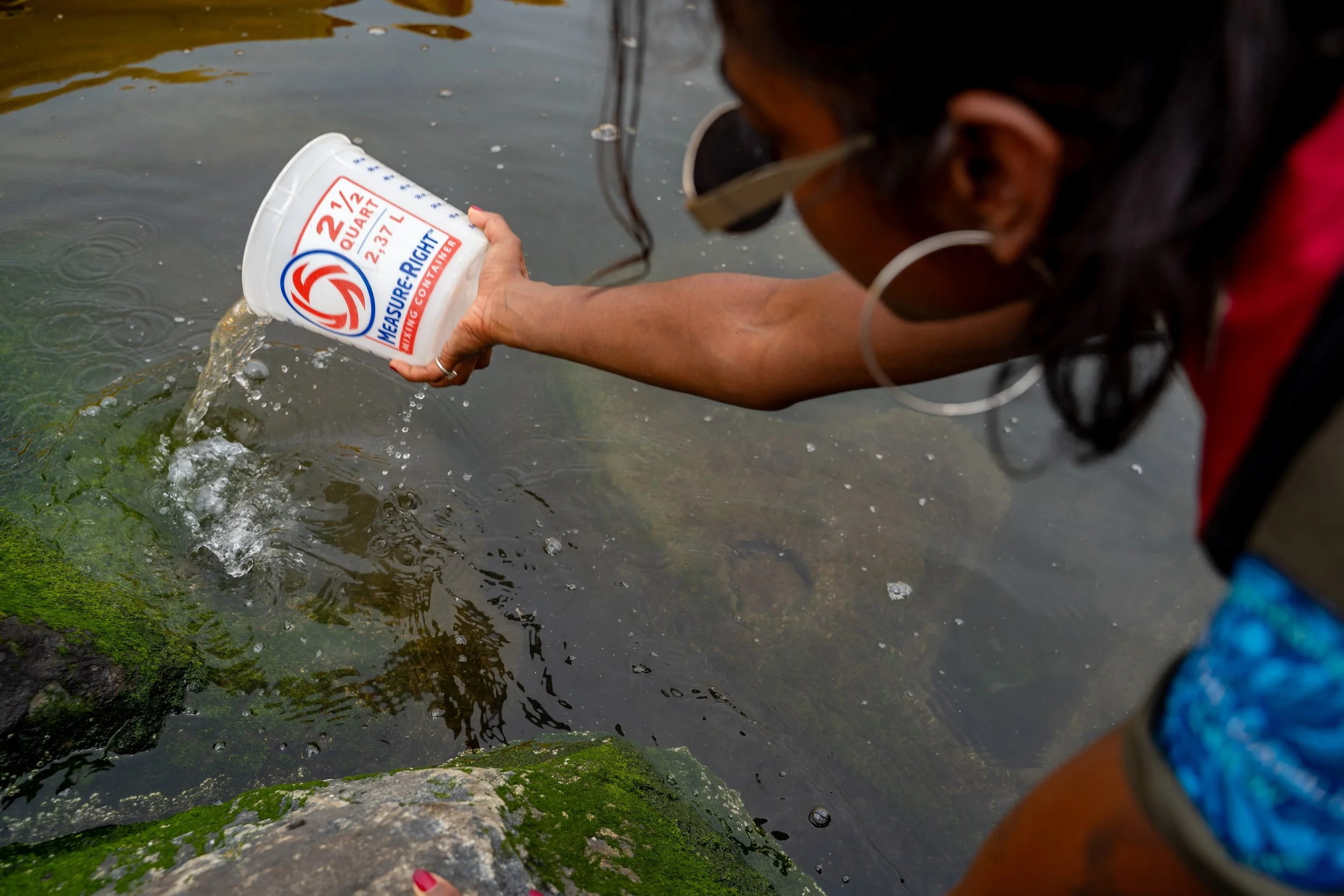 introducing oyster larvae to the edges of the breakwaters