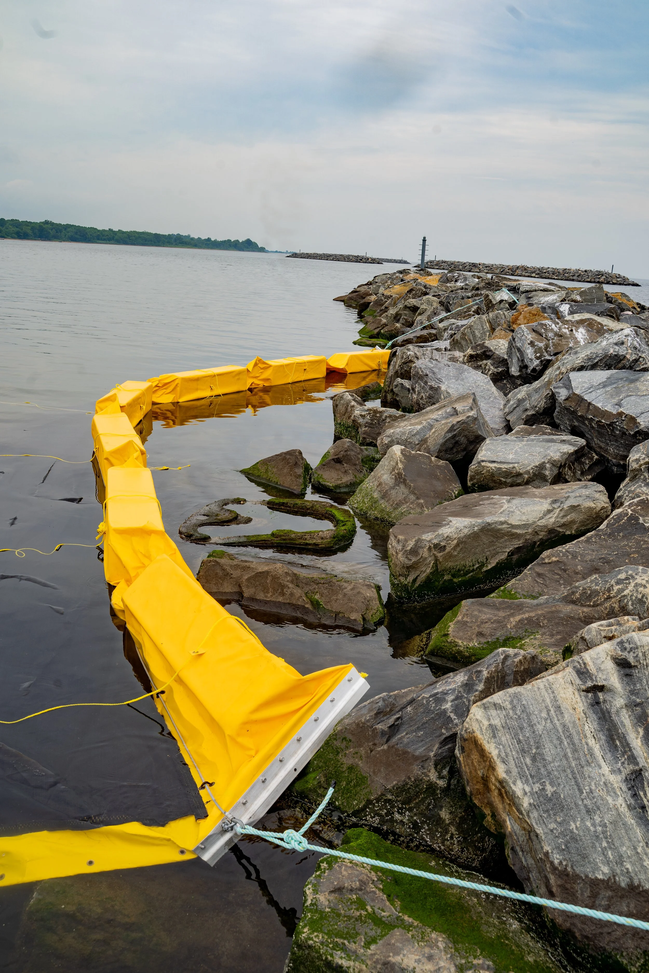 curtain protection around oyster larvae setting areas to maximize in-situ recruitment