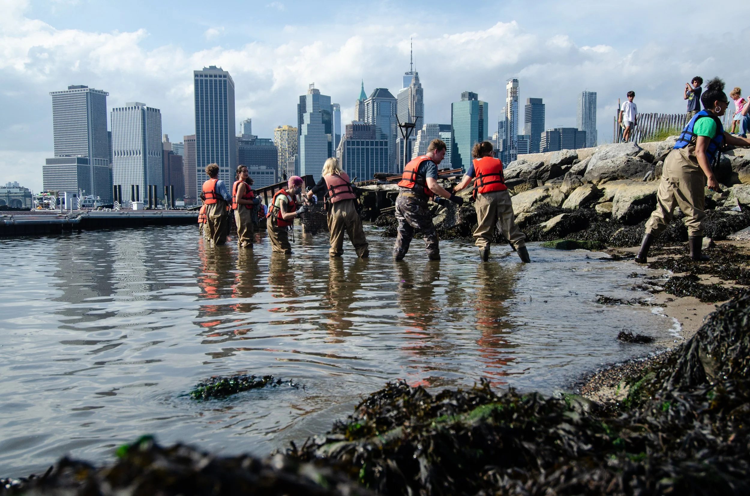 Harry Smith and NBC's TODAY show team wade into the East River with Billion Oyster Project and volunteers to place file cabinets of oysters in Brooklyn Bridge Park's community reef. Photo credited to Steven Dewitt.