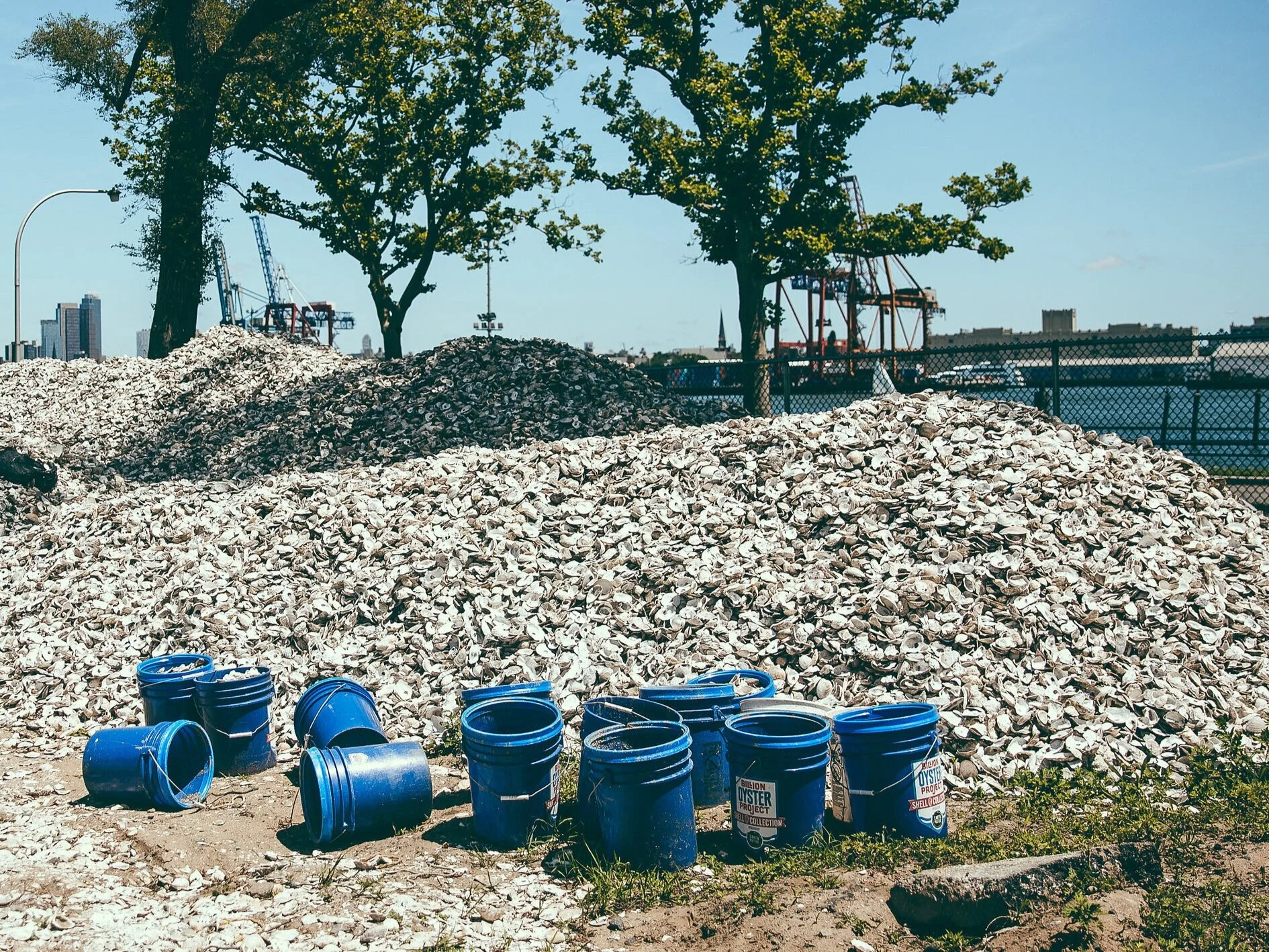 BillionOysterProject_shell+pile.jpg