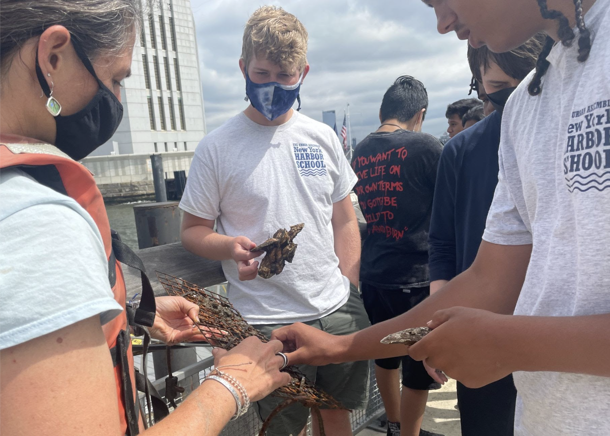 Future Harbor school students learning about oyster growth at Pier 101 on Governors Island.