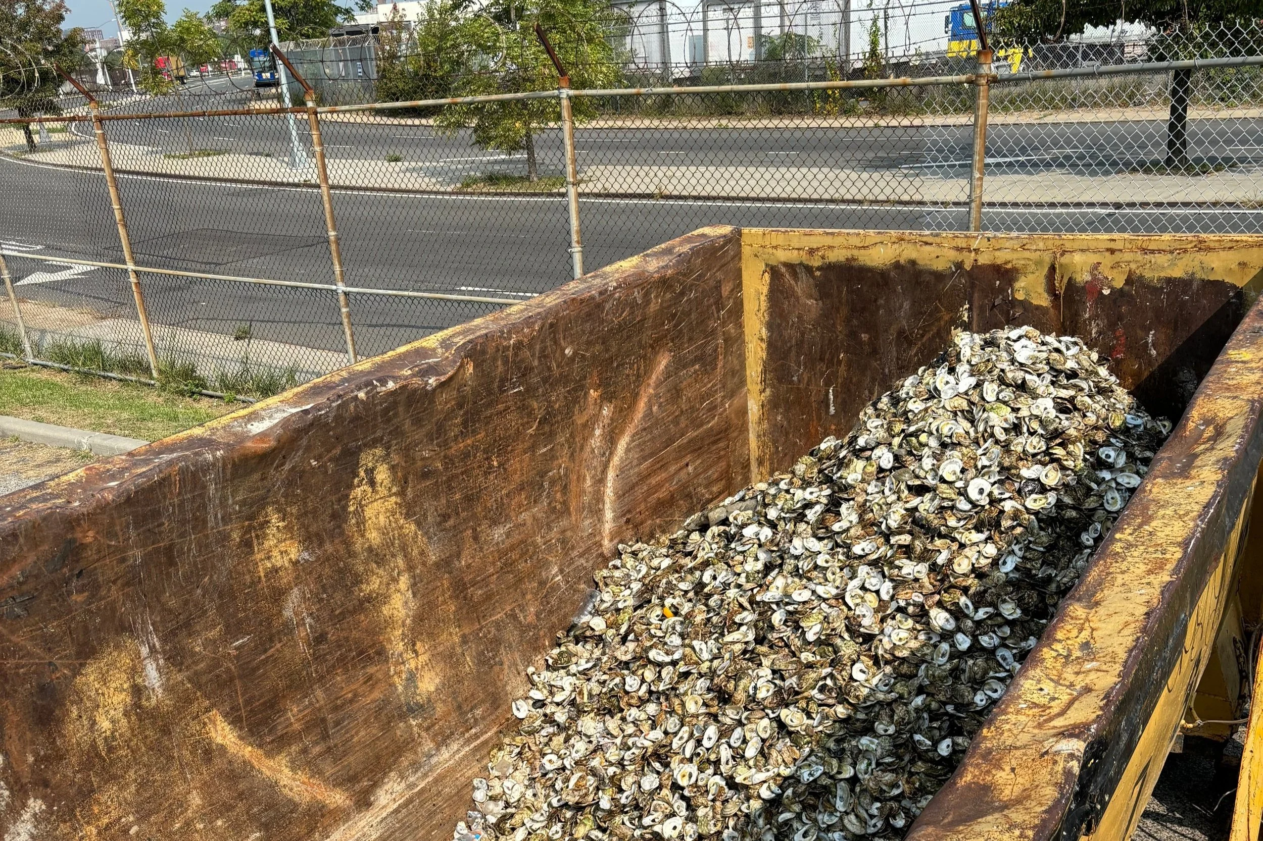 Dumpster containers filled with a days collection of shell waste from nyc's restaurants, outside the fulton fish market COOPERATIVE