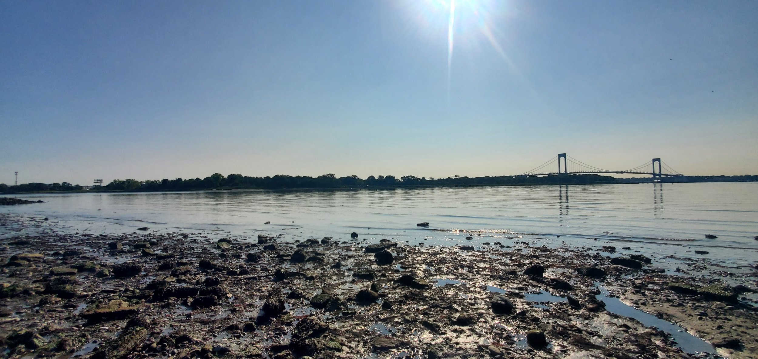 Pugsley Creek shoreline