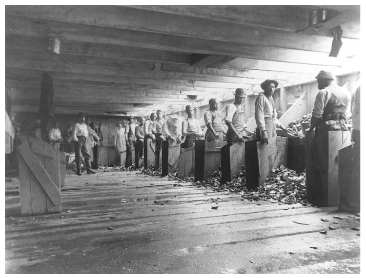 Oyster workers in maryland, 1894, MAAP Columbia University, Courtesy Alice Austen Collection, Staten Island Historical Society