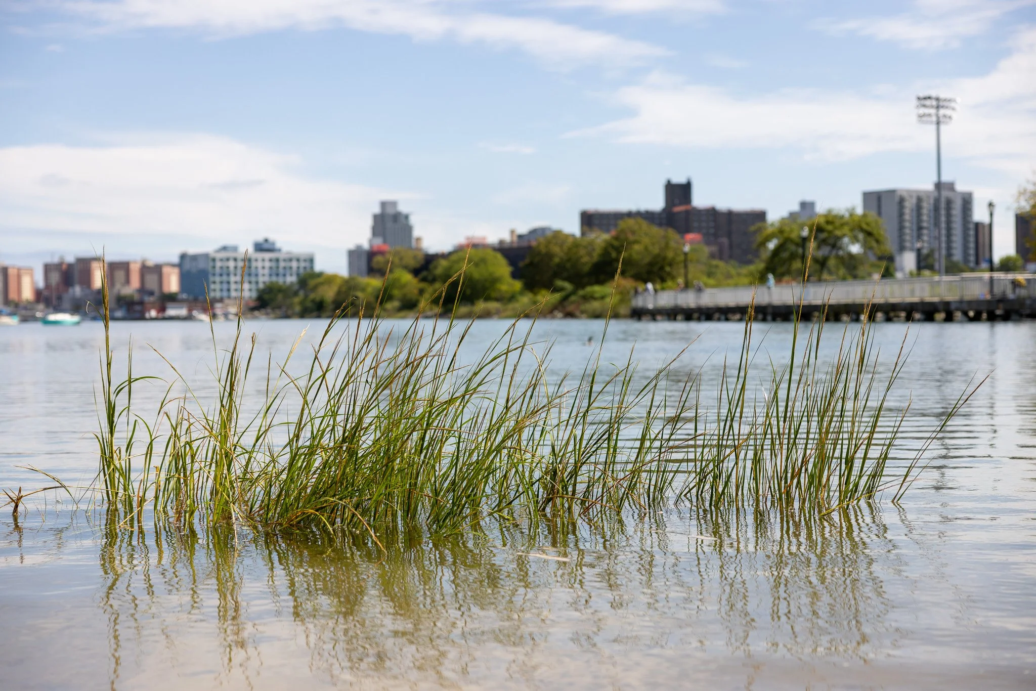 We can't talk oceans without estuaries.