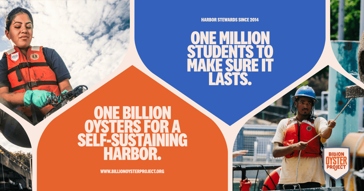 Billion Oyster Project — Restoring Native Oyster Reefs in New York Harbor