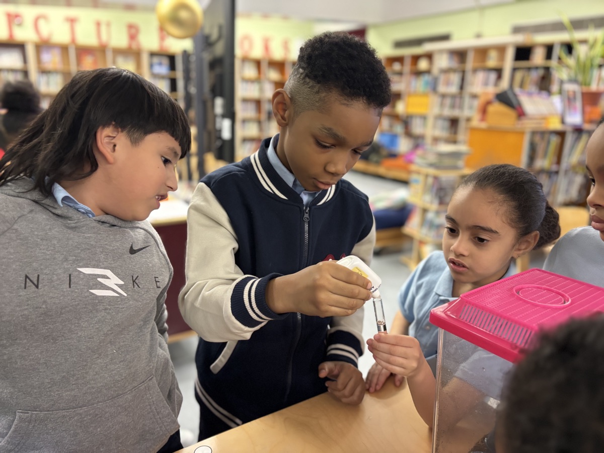 Elementary students use a dropper during a classroom oyster tank lesson