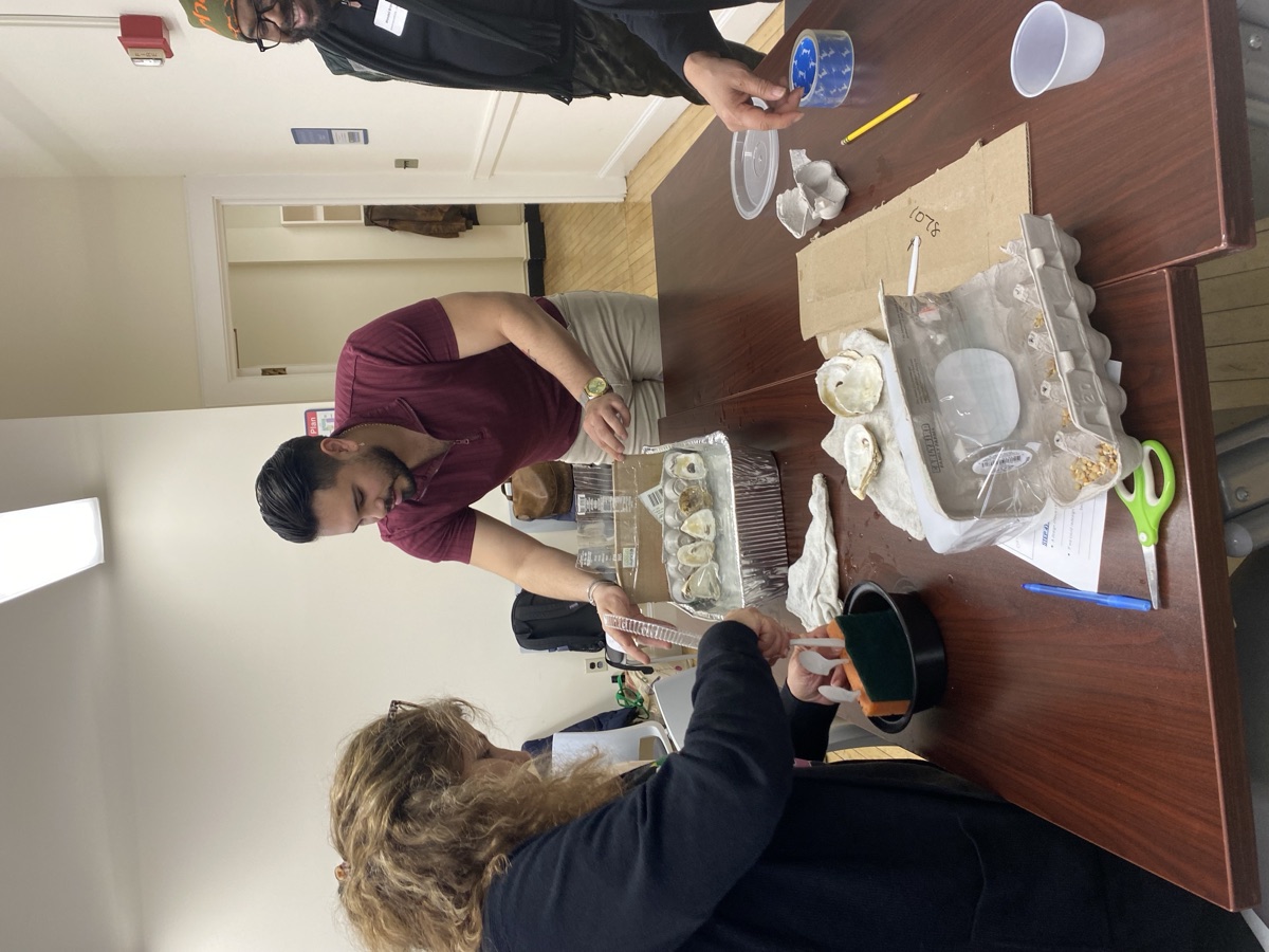 Educators assemble a hands-on oyster lesson using shells and classroom materials