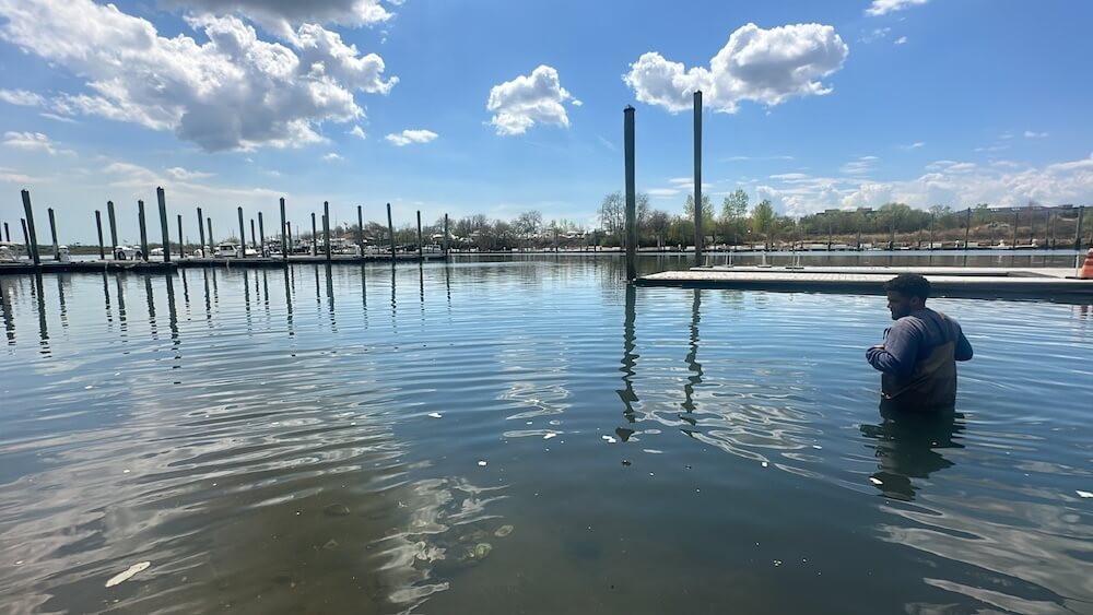 Paerdegat Basin